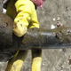 Illustration for article titled Archaeologists Unearth 18th Century Dildo